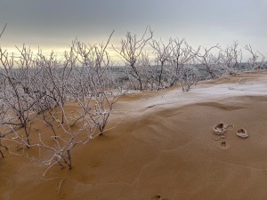 Пески декабрь 2021 - 4 из 14.jpeg