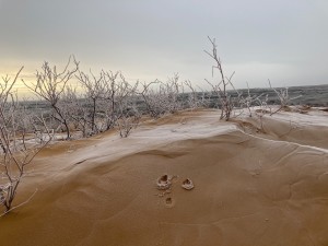Пески декабрь 2021 - 3 из 14.jpeg