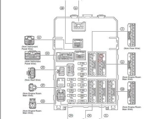 PlMWm6jfX9-hdUEGFNI3OO6lDZk-1920.jpg